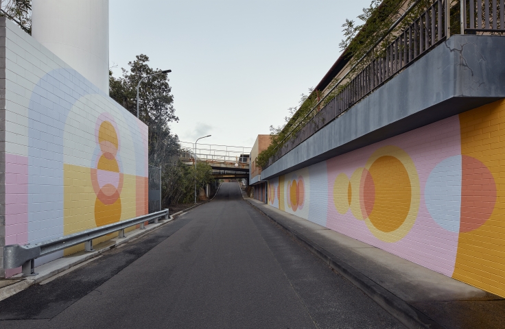  Pictured: Rochelle Haley's 'The New Moon Rising' mural featured on Francis Martin Drive 